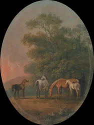Mares and Foals
